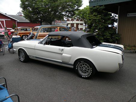 white mustang